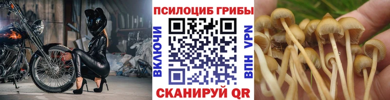 Галлюциногенные грибы MAGIC MUSHROOMS Арск